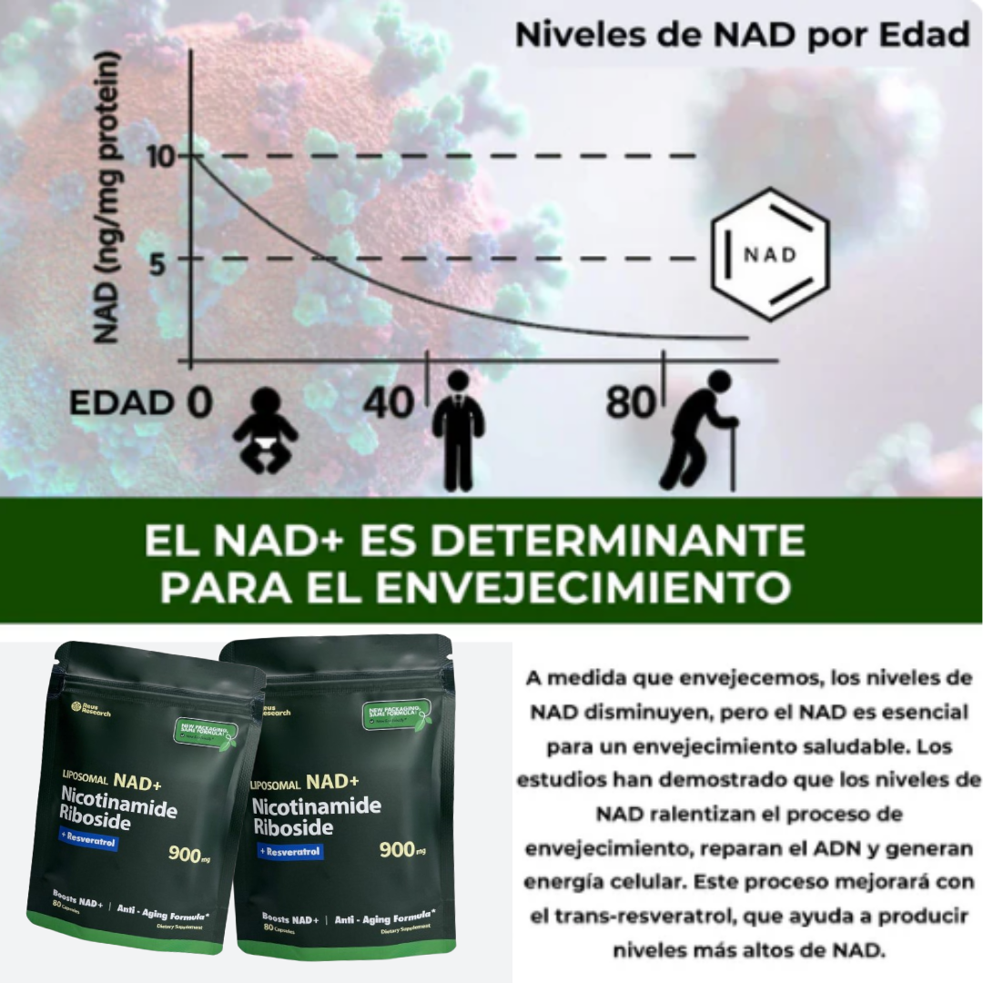 ACTIVELIFE® NAD + DE ALTA PUREZA - EL SECRETO DE LA JUVENTUD Y LONGEVIDAD